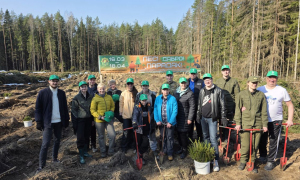 Лес! Дабро! Парадак!